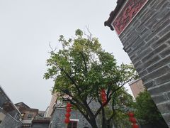-江门古劳水乡旅游区