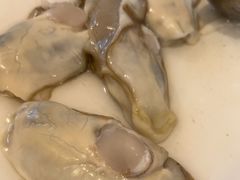 现开生蚝-冯姐生蚝(长隆横琴店)