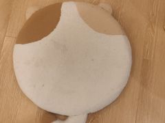 -猫咪派对(江南西店)