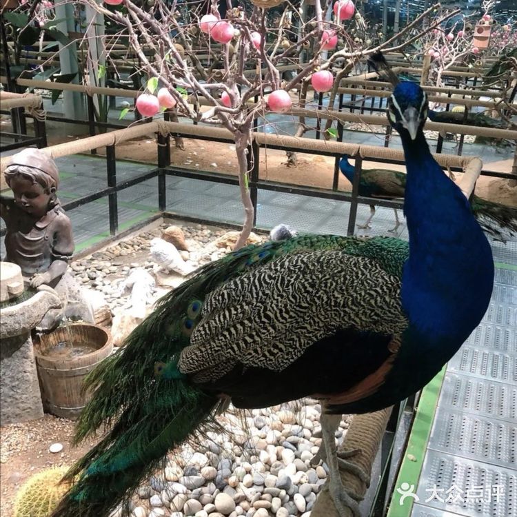 三千多平米的室内动物园你去过吗？