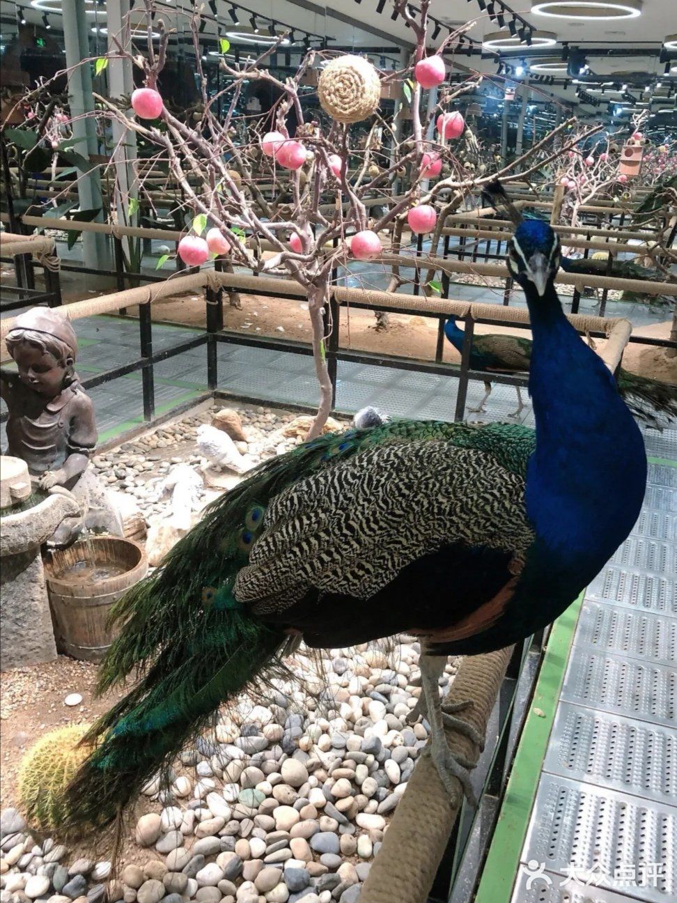 三千多平米的室内动物园你去过吗？