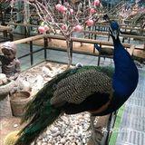 三千多平米的室内动物园你去过吗？