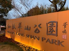 -羊山湖公园