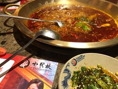 -小龙坎火锅(东汇城店)