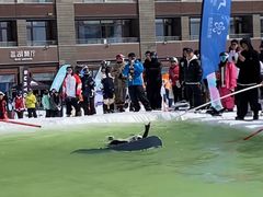 -密苑云顶乐园(云顶滑雪场)
