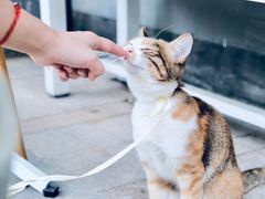 -隹木咖啡馆(宝龙广场店)