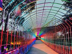 -横店影视城梦幻谷园区