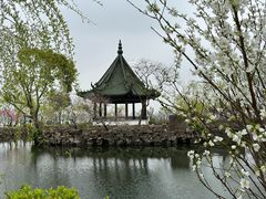 -无锡蠡湖国家湿地公园-蠡园