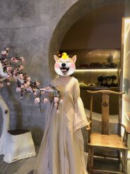 点击看大图 -盘子女人坊古装写真摄影(南京总店)