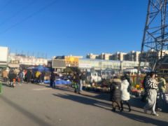 -中环花鸟鱼虫市场
