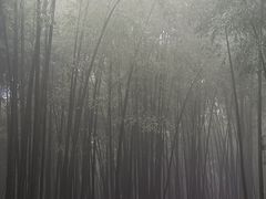 -西湖风景区十里琅珰-五云山