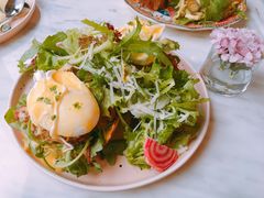 -The Rug Cafe(王府中环店)