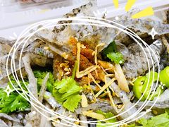 -陈添記·祖傳爽鱼皮·西关老字号(广州首店)