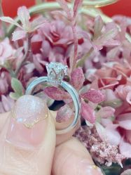 -钻石小鸟钻戒婚戒定制(石路店)