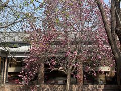 -辛庄国际文化艺术区