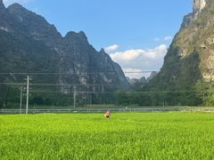 -明仕田园