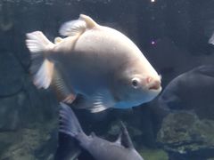 -多彩贵州城极地海洋世界