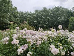 -长春公园(普阳街道)