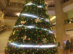 -成都天府丽都喜来登饭店