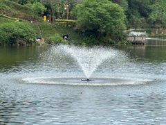 -重庆彩云湖湿地公园