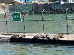 -西霞口神雕山野生动物世界