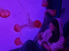 -沈阳海洋探索中心