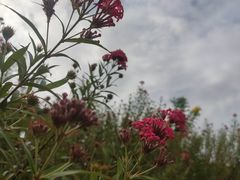-东莞植物园