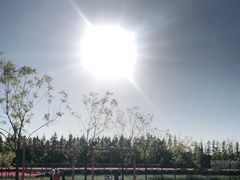 -嘉北郊野公园