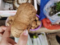 -杨林闻老三酸菜鱼(总店)