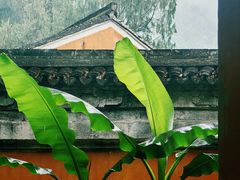 -天台山景区