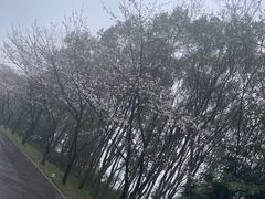 -团城山公园