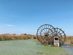 -宁波杭州湾国家湿地公园