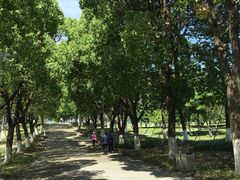 -白塘生态植物园