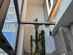 -范儿·嫂子烤肉·精致炭火烤肉(长治路店)