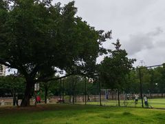 -光明港公园