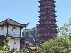 -长兴太湖图影湿地文化园