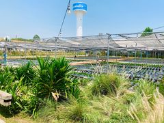 -Ohkajhu Organic Farm Sansai