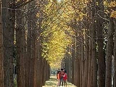 -洛阳市隋唐城遗址植物园