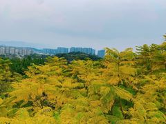 -飞凤山奥体公园