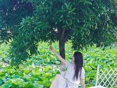 -梁子湖东篱老屋生态庄园