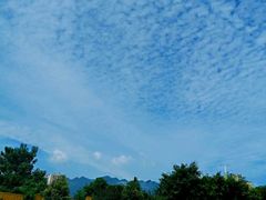 -屈原故里文化旅游区