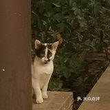 [种草]小朋友，你是否有许多问号❓❓❓