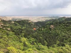 -大芦花风景区
