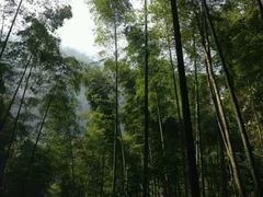 -四洞沟景区