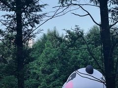 -游心咖啡(青山红坊店)