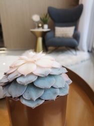 -美最美健康管理中心