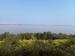 -天津东丽湖风景区