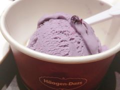 哈根达斯-四海一家自助餐(益田假日广场店)