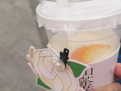 橙漫山茶花-书亦烧仙草(锦城学院店)