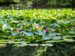 -北海道厅旧本厅舍(旧本庁舎)